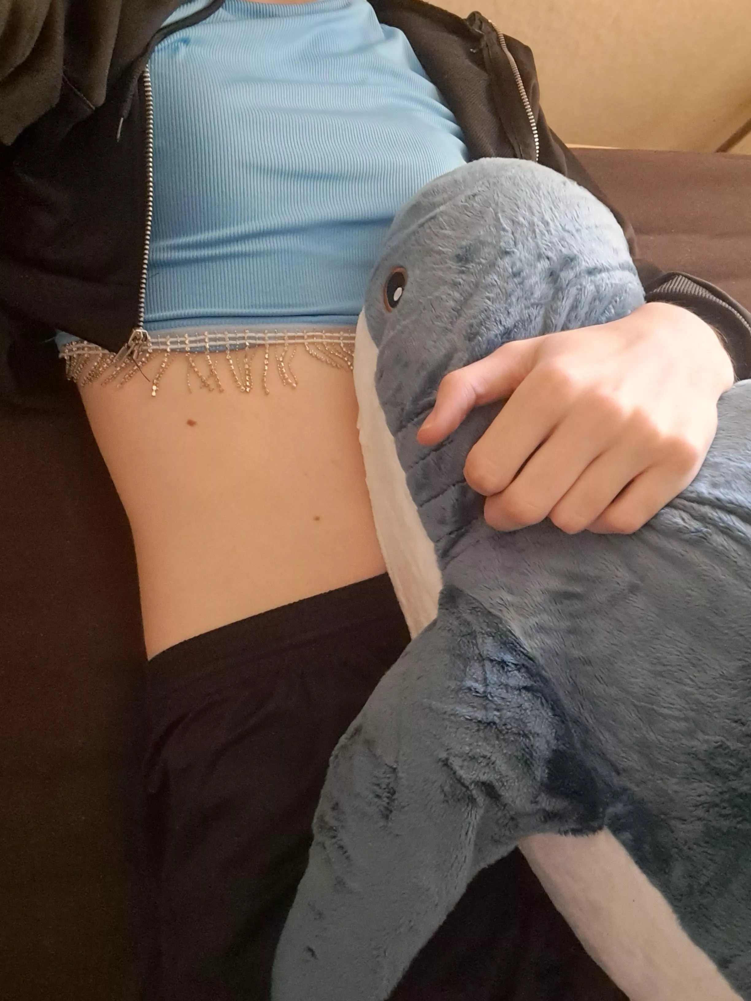 I have acquired the shark posted by Sea_Bread_4445