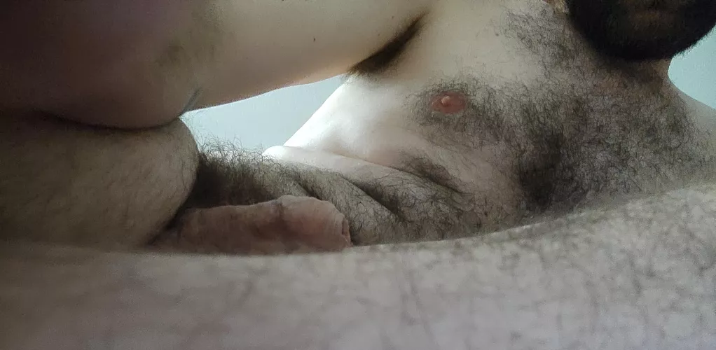 Into the wild by Big-Student6734