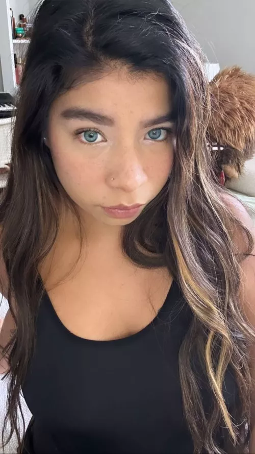 IUTR F19 by OGFrosty98