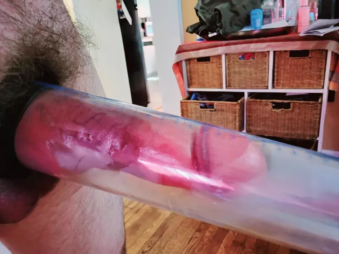 Purple by Thin_Cook_5428