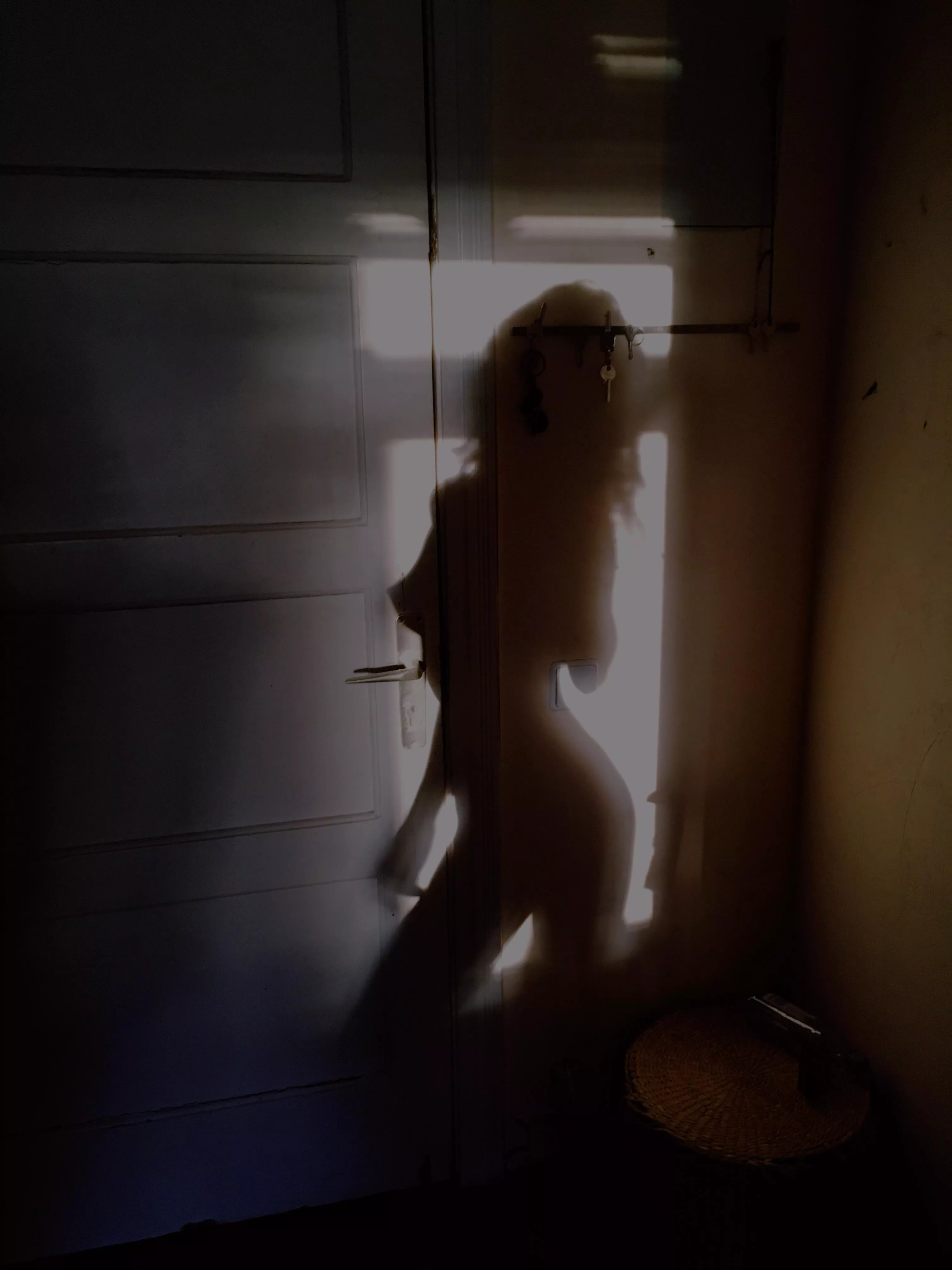 The game of shadows posted by qpassionfruit