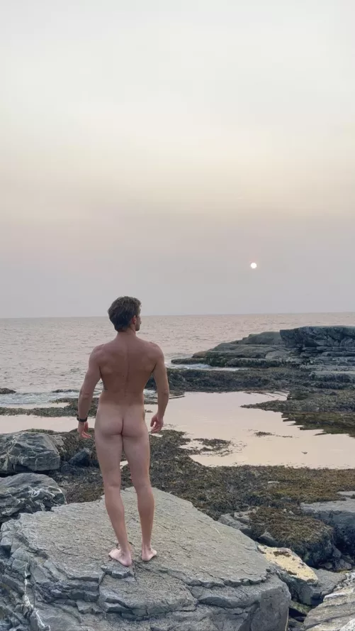 White dot by freeintheforest86