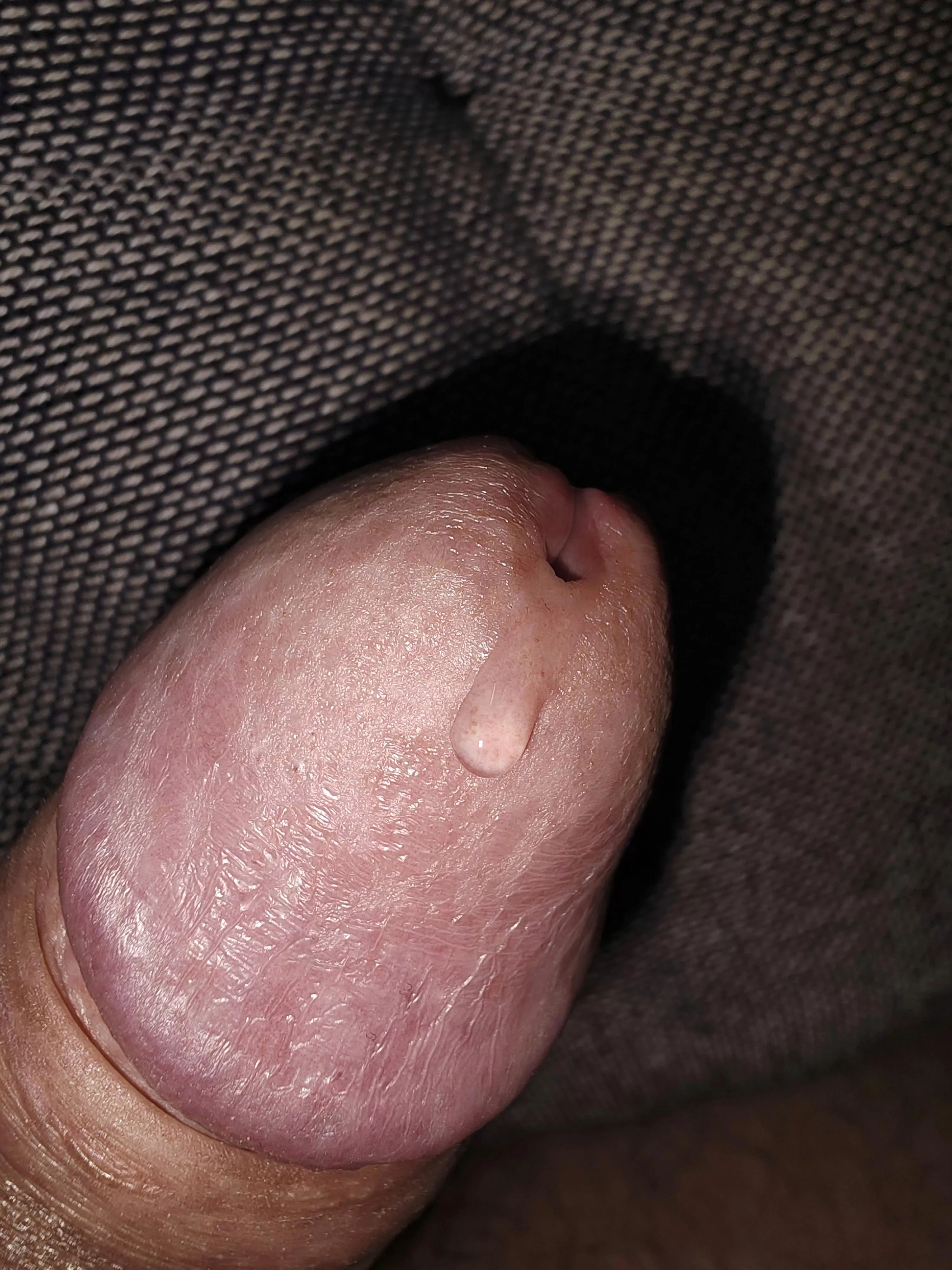 Would you Taste ! posted by Hunt3rP777