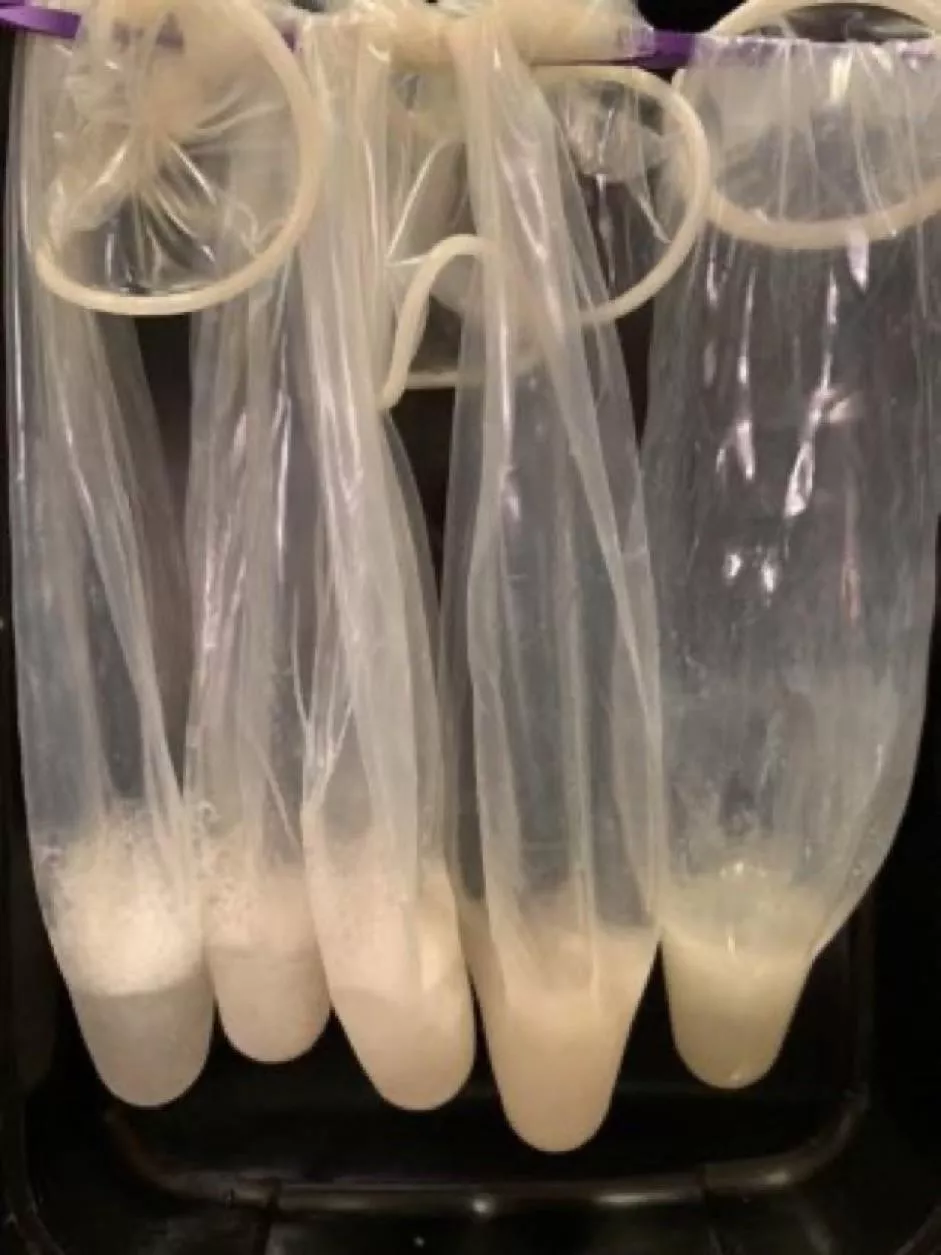 Any submissive man around ready to bring me this as evidence of being a whore to the BNWO drop a 💜 if you’re willing to posted by Mom032