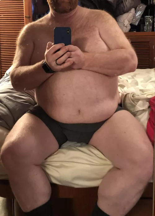 Daddy bear seeking chaser/otter under 30 by GingerBearWA