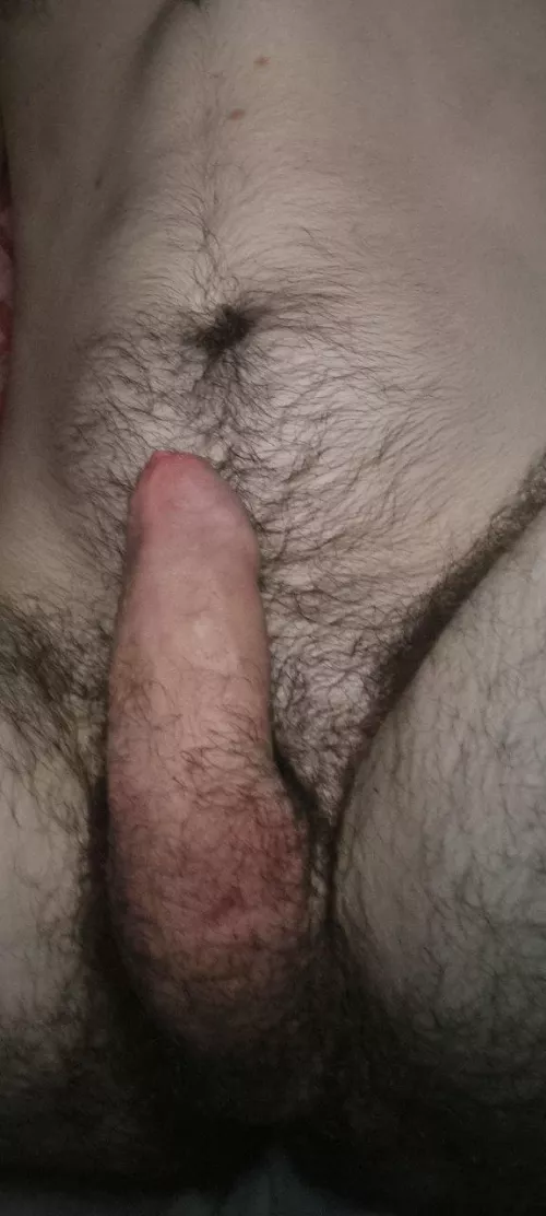 Guess how big I am by Due_Holiday_417