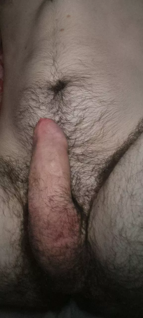 Guess how big I am posted by Due_Holiday_417