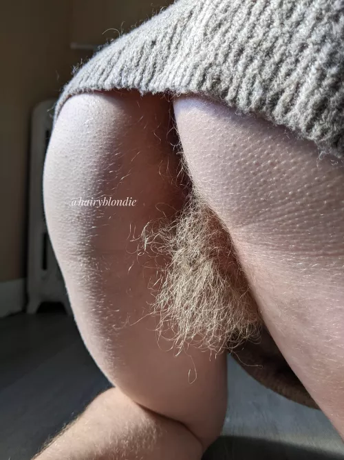 I'm extremely hairy and love to show it off by efiwfsn