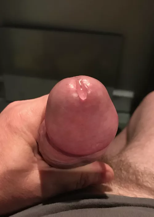 Just getting started by BearSkin777