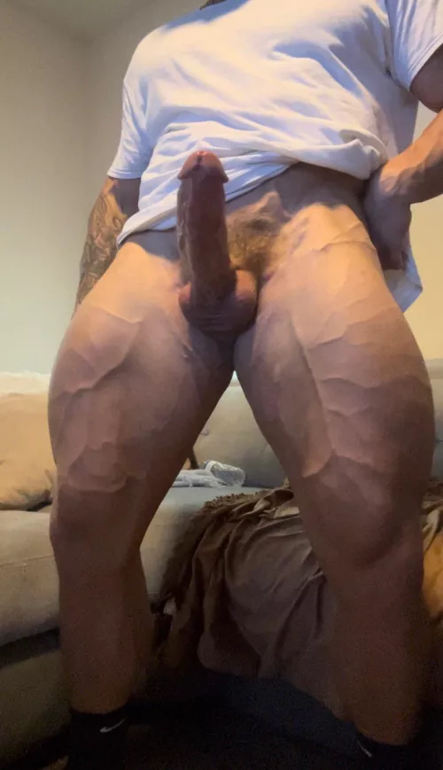 Monster everything by willii_boyyy