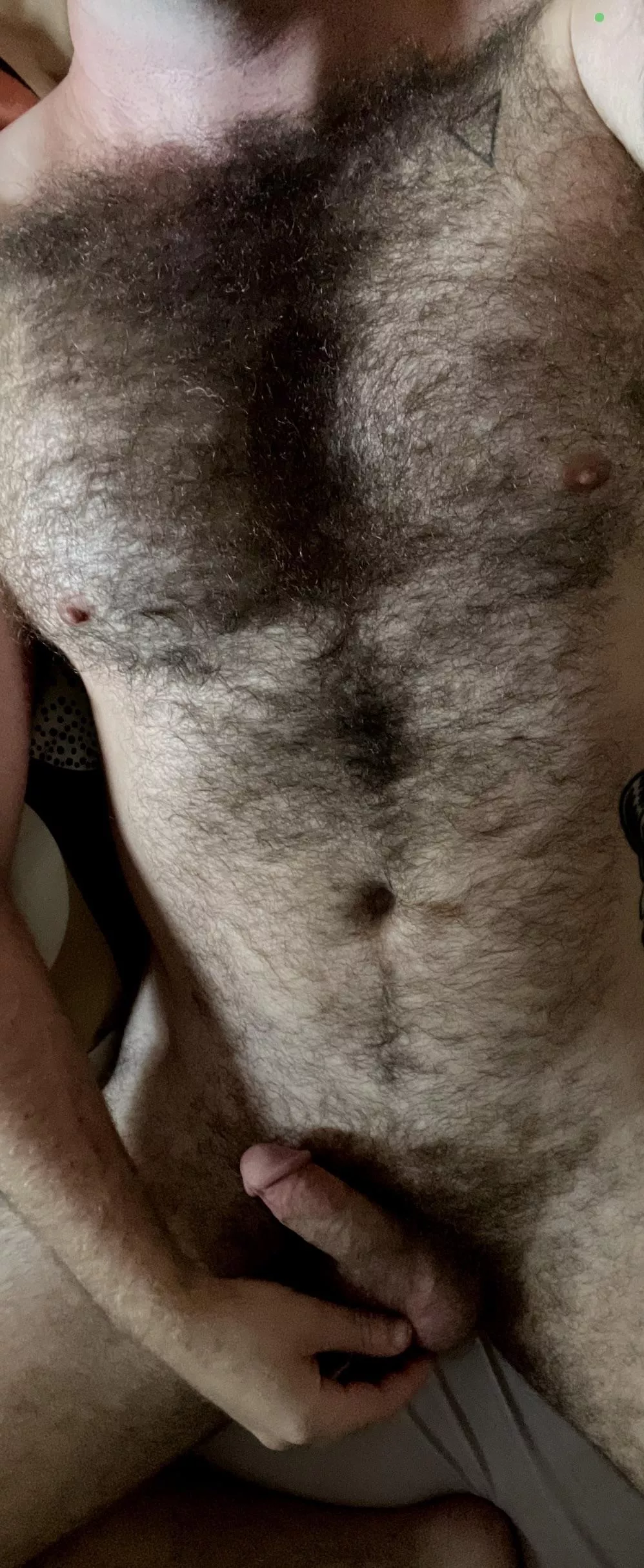 Morning, dudes. posted by PigLBC0123