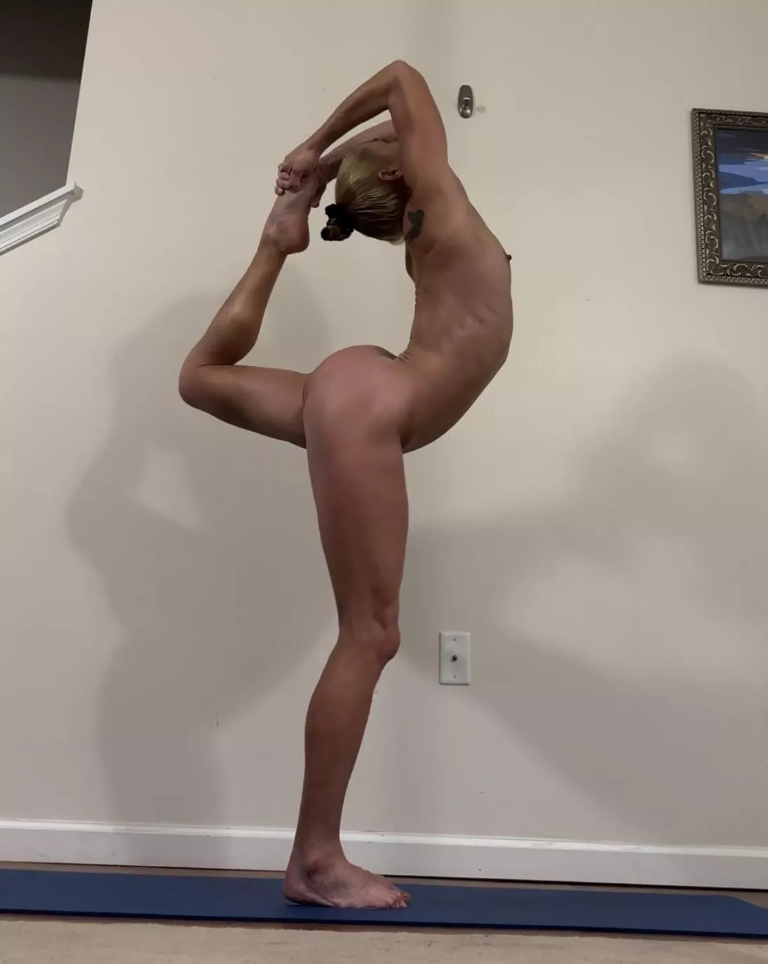 One legged king pigeon posted by MereFit