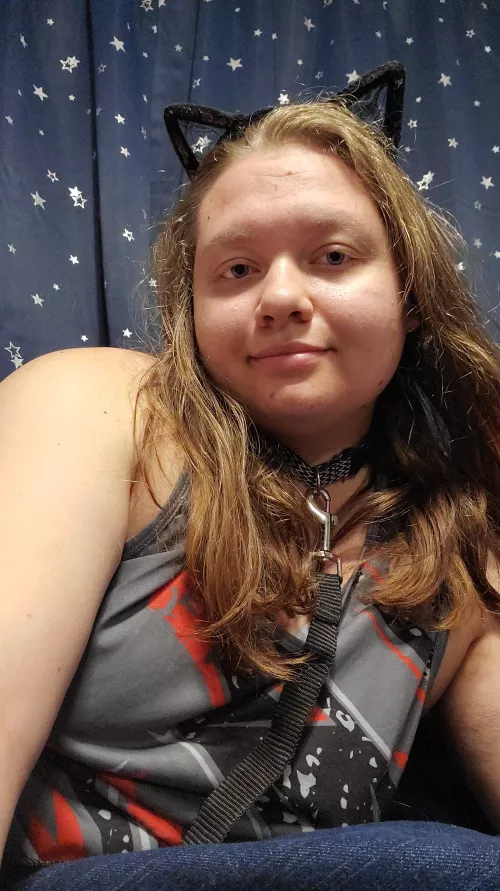 Take this kitten on a walk or train me by skysovipos