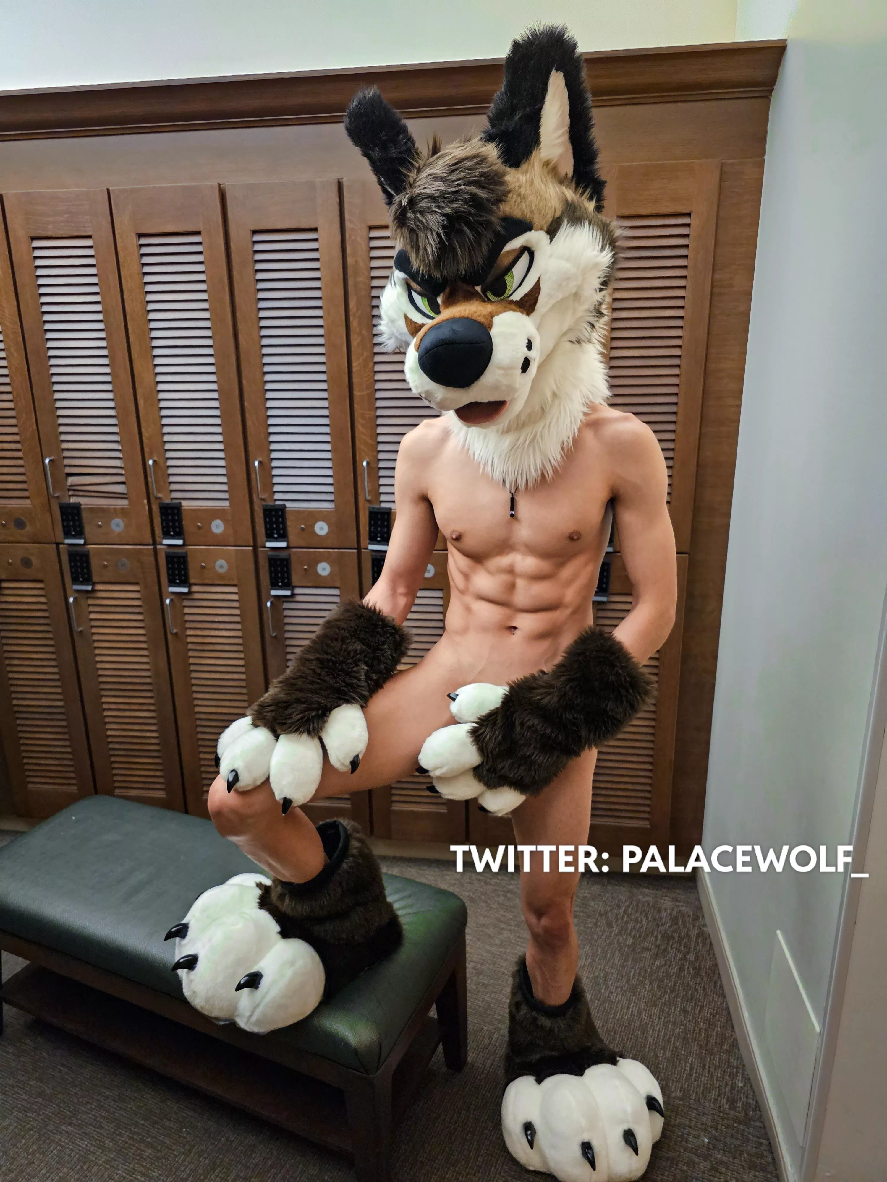 You gonna keep staring, bro? 😏 posted by PalaceWolf