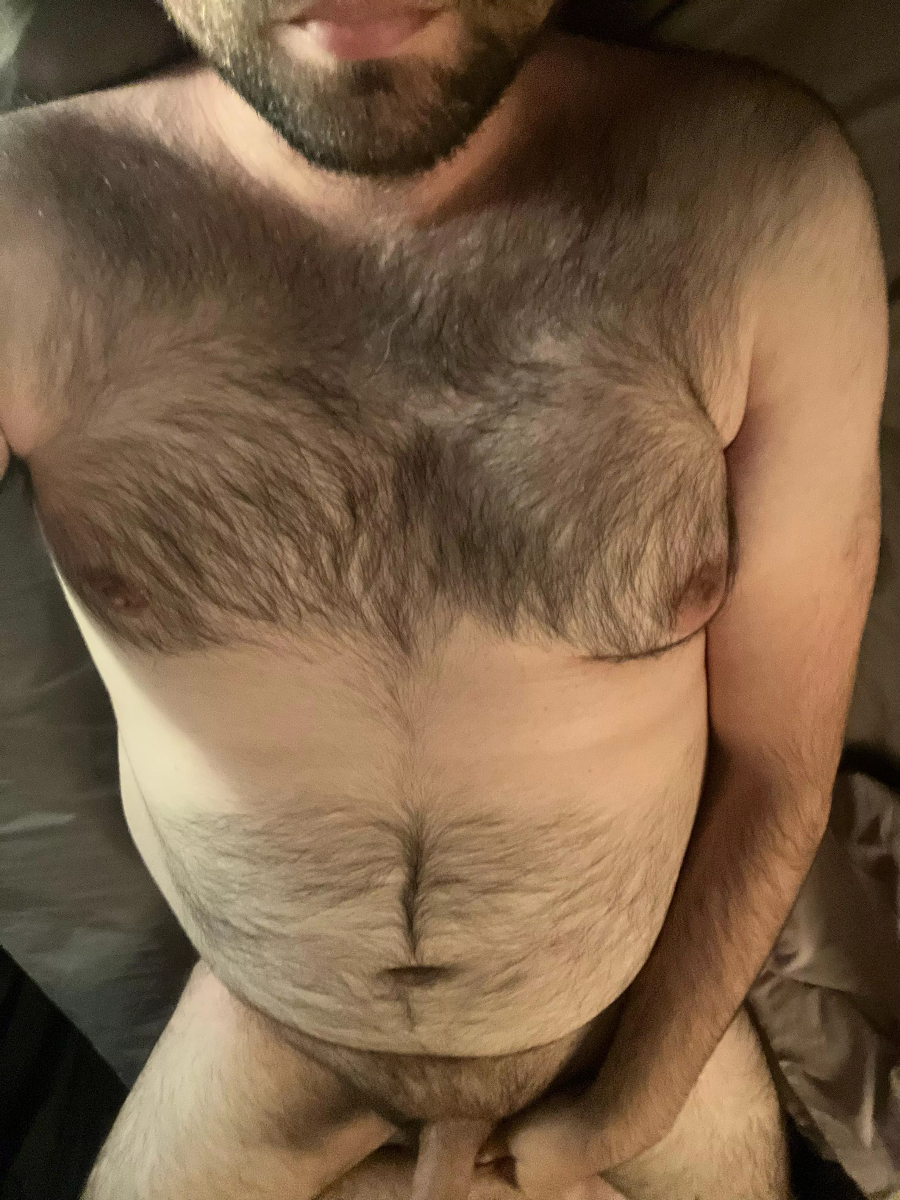 33 top bear looking for jerkbud. Older+ but open to all. No live. posted by zazou_the_bear