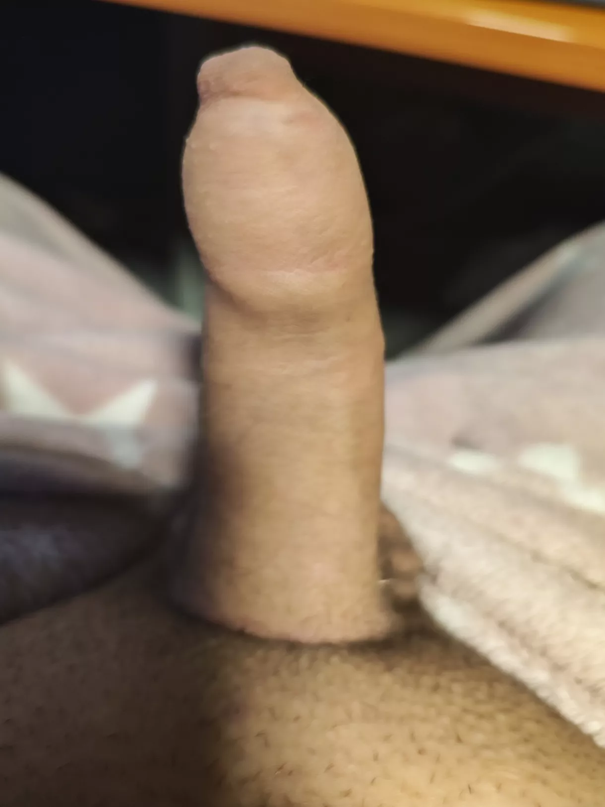 Anyone like it? posted by cummingeagle