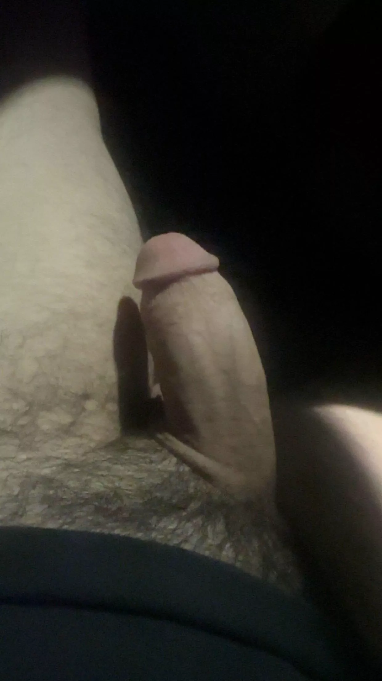 Give me head in the car, would you ? posted by EveryDayIsAGlo222