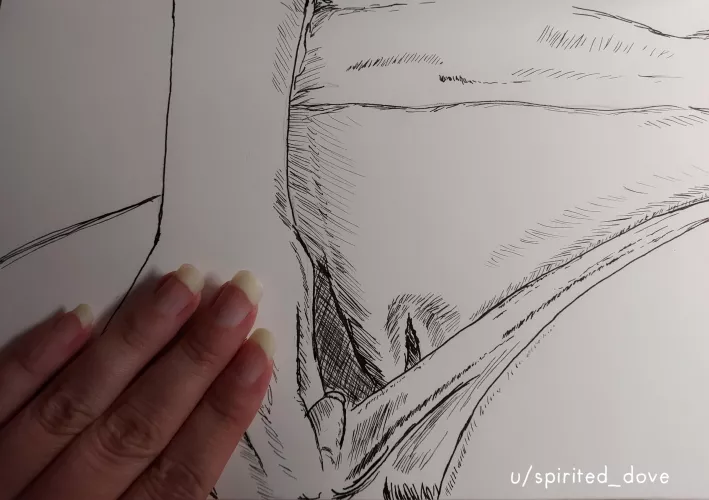 Just a little womanly peek. It's been a while since I drew something, please be kind. by spirited_dove