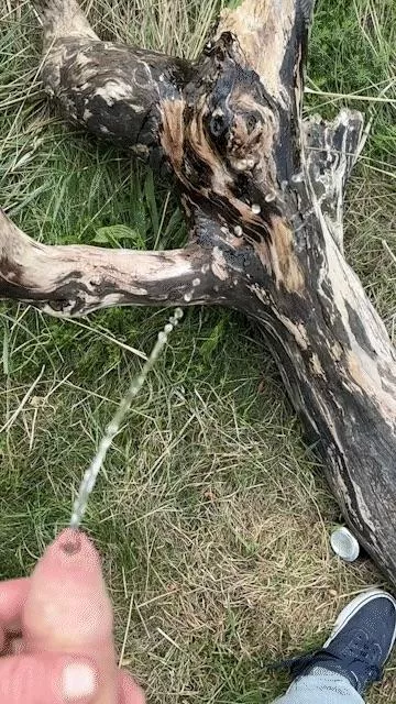 Let’s enjoy the fresh air! posted by Robinhood_69