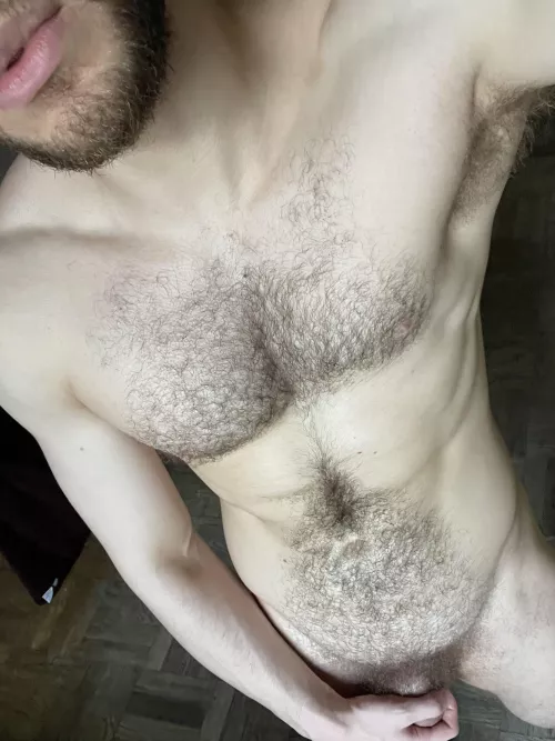 Look into my forest 🌲 by deoctubre