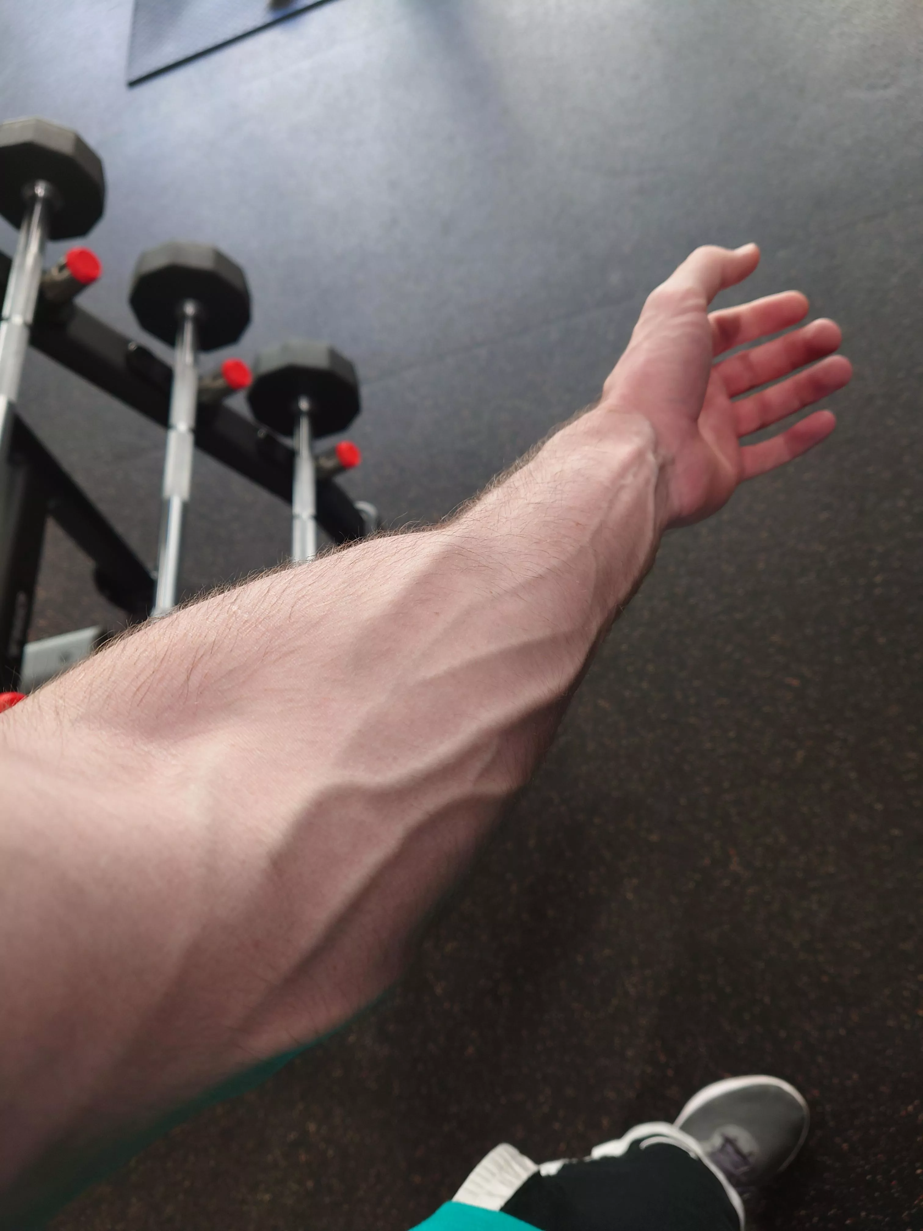 Rivers 🏞️ posted by Commercial-Ad90