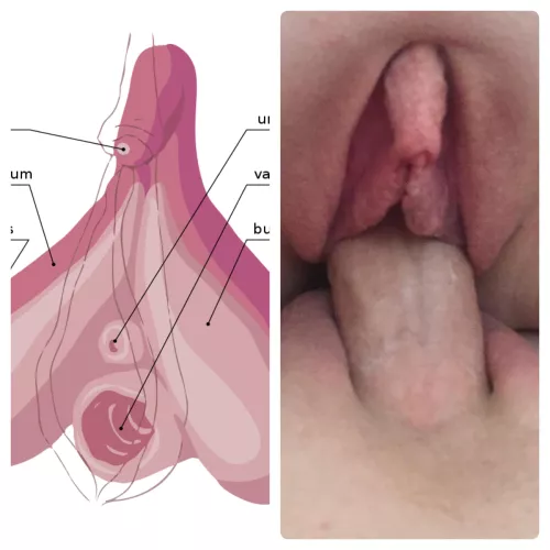 Well the research checks out (f34) by Willing-Article2600