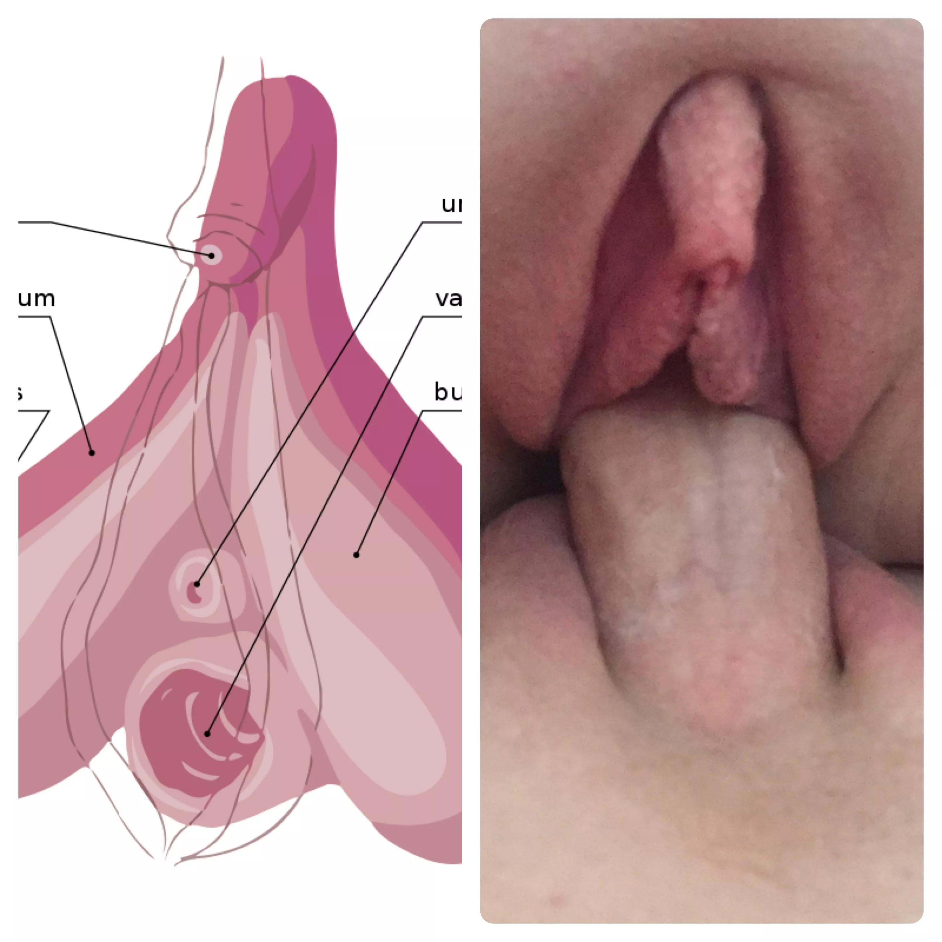 Well the research checks out (f34) posted by Willing-Article2600