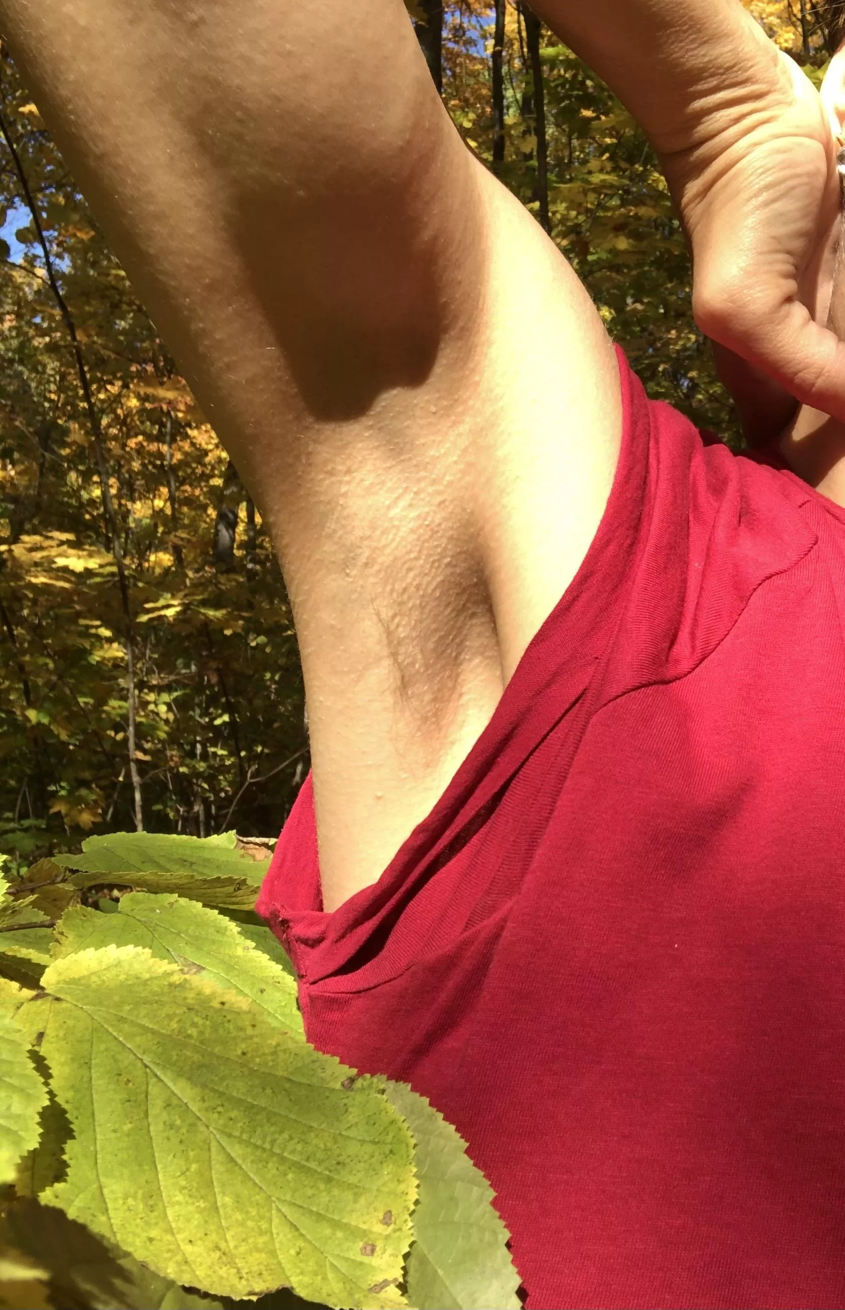 What do you think about my armpits? posted by Specialist-Fill-8013