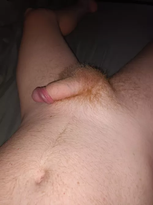 Who likes a ginger softy? by edginger