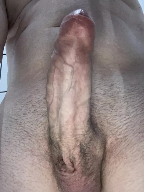 Would you swallow my cock? by givemesomesole