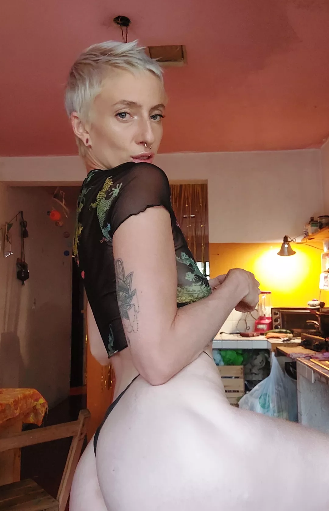 Are you bending me over in the kitchen, or am I bending YOU over? posted by shaeirisxo