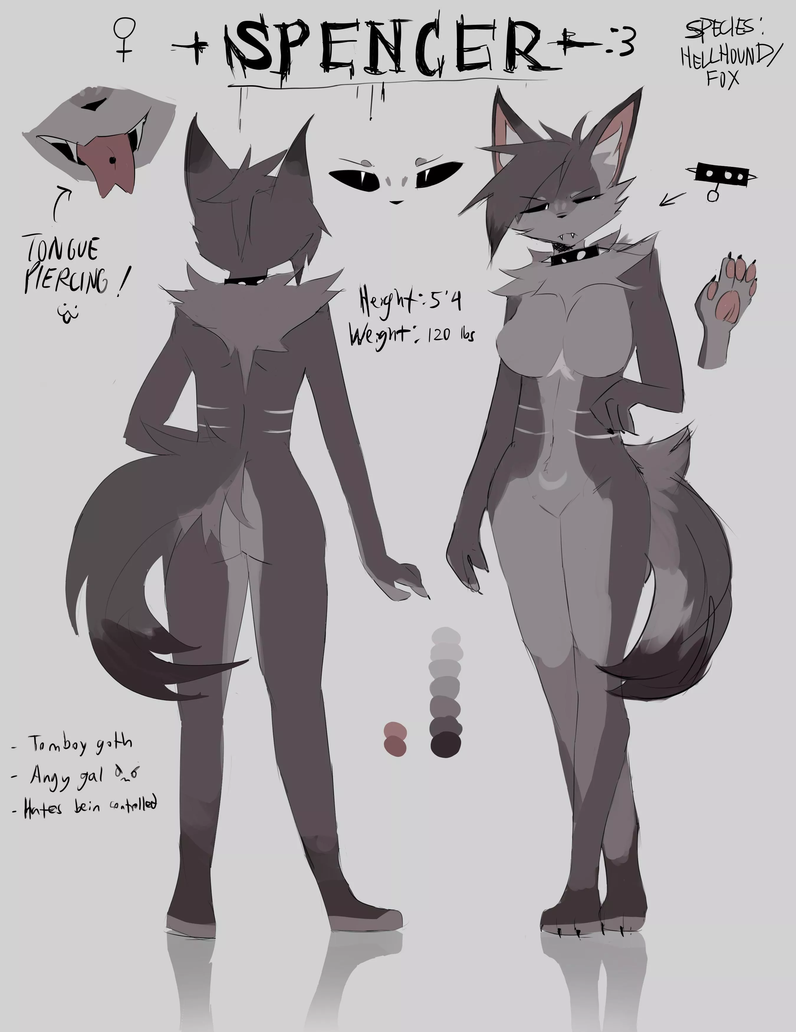 Finally made a ref sheet for my sona, Spencer!! :D posted by Terrible_Existence