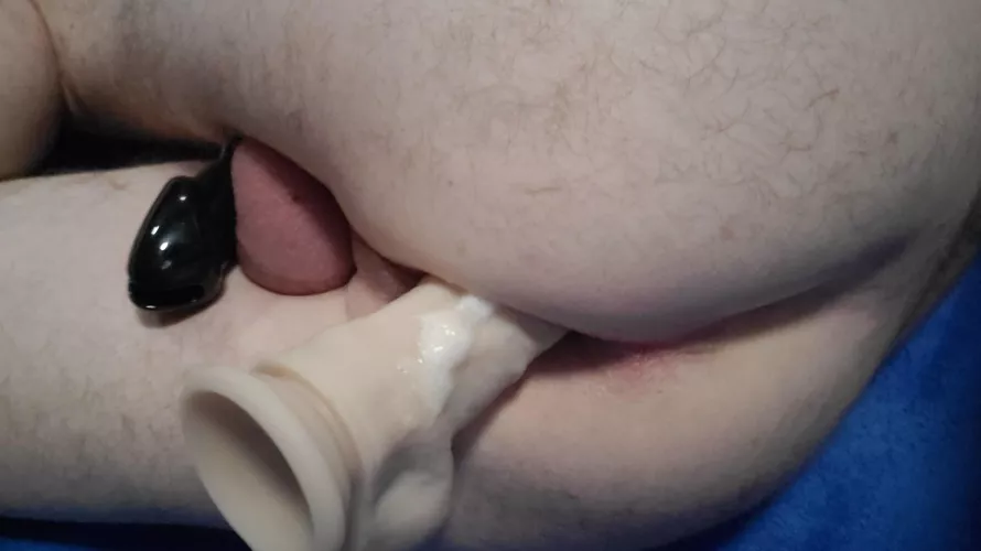 Happy Saturday! by PupArlo