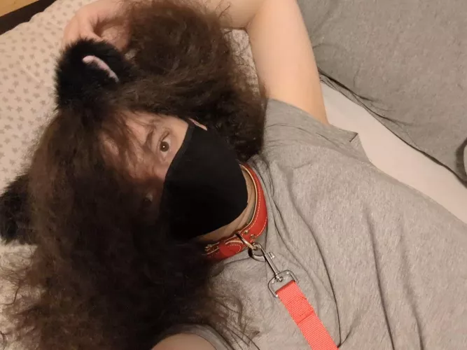 h-hey! why are you on top of me? >:( by LewdFemBoyii