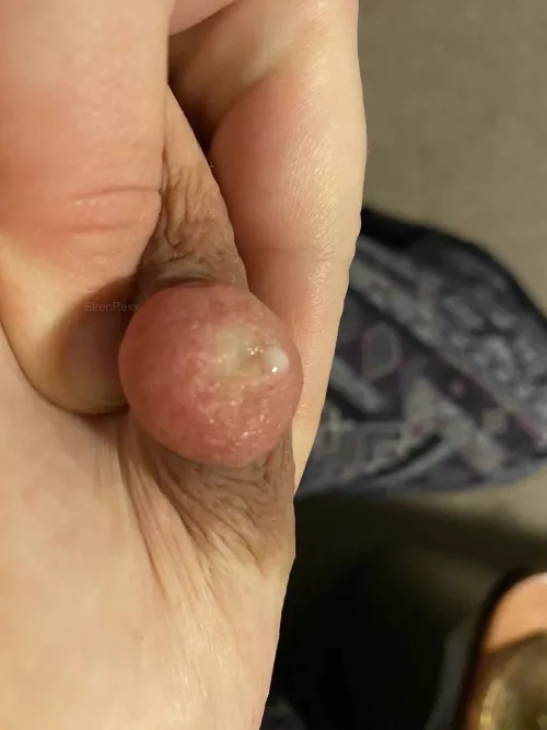 I just pumped my very first milk drop! It tasted so sweet! 💕 by SirenRexx