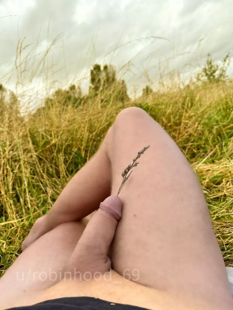 In Tune with Nature posted by Robinhood_69