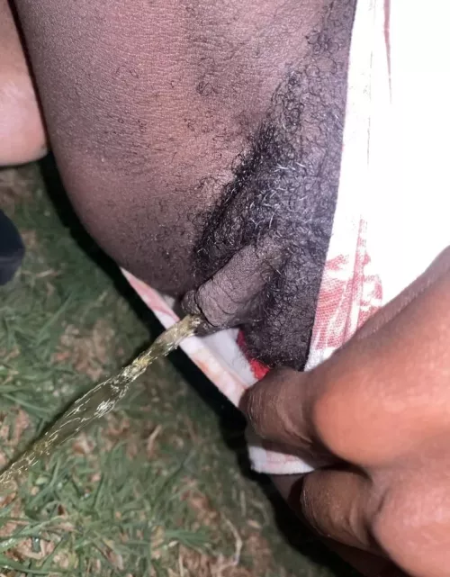 Just a hairy cat, wish she was peeing on you by Theonlyqueenofpee