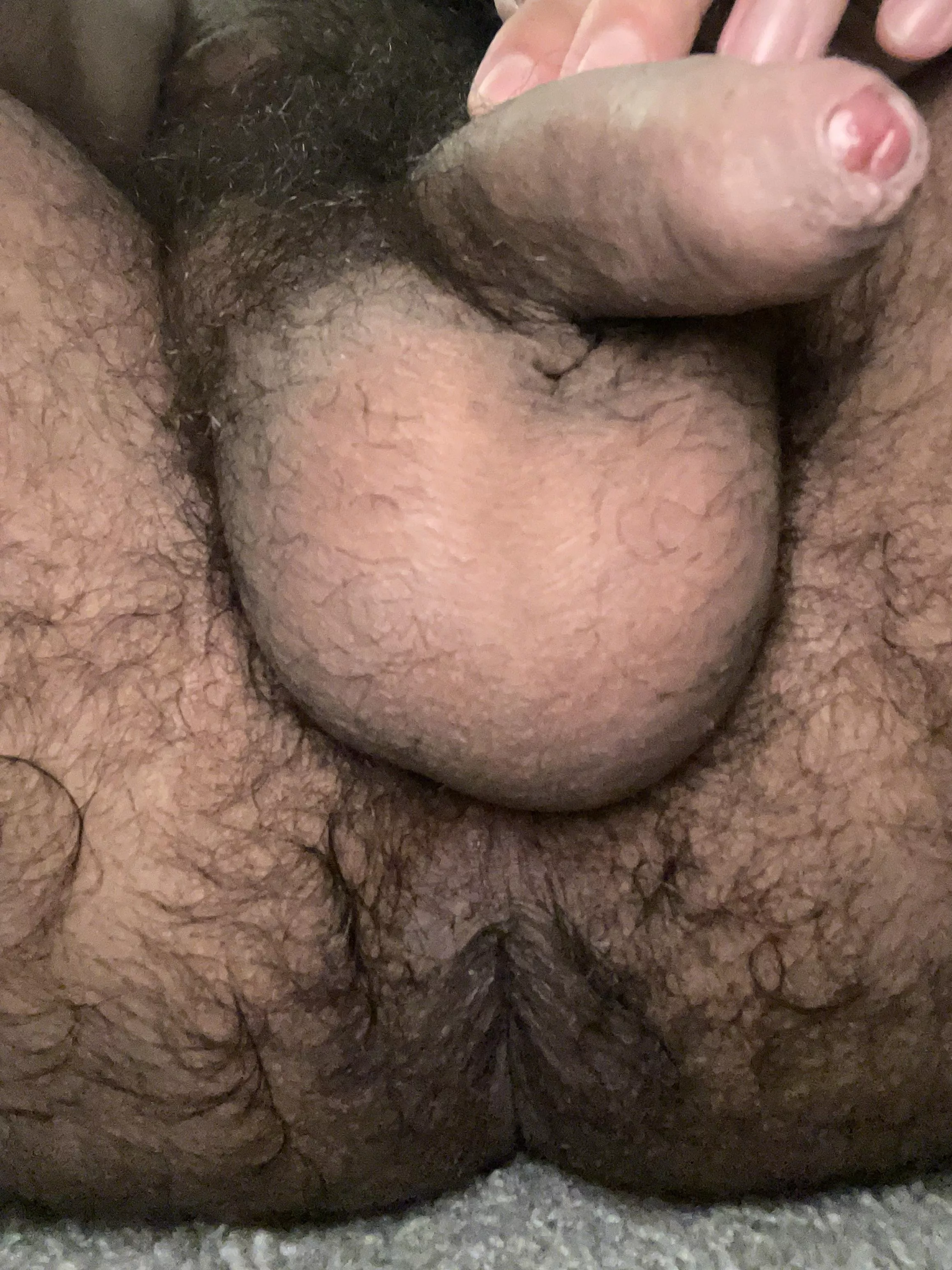 My garden needs tending… posted by deadite93