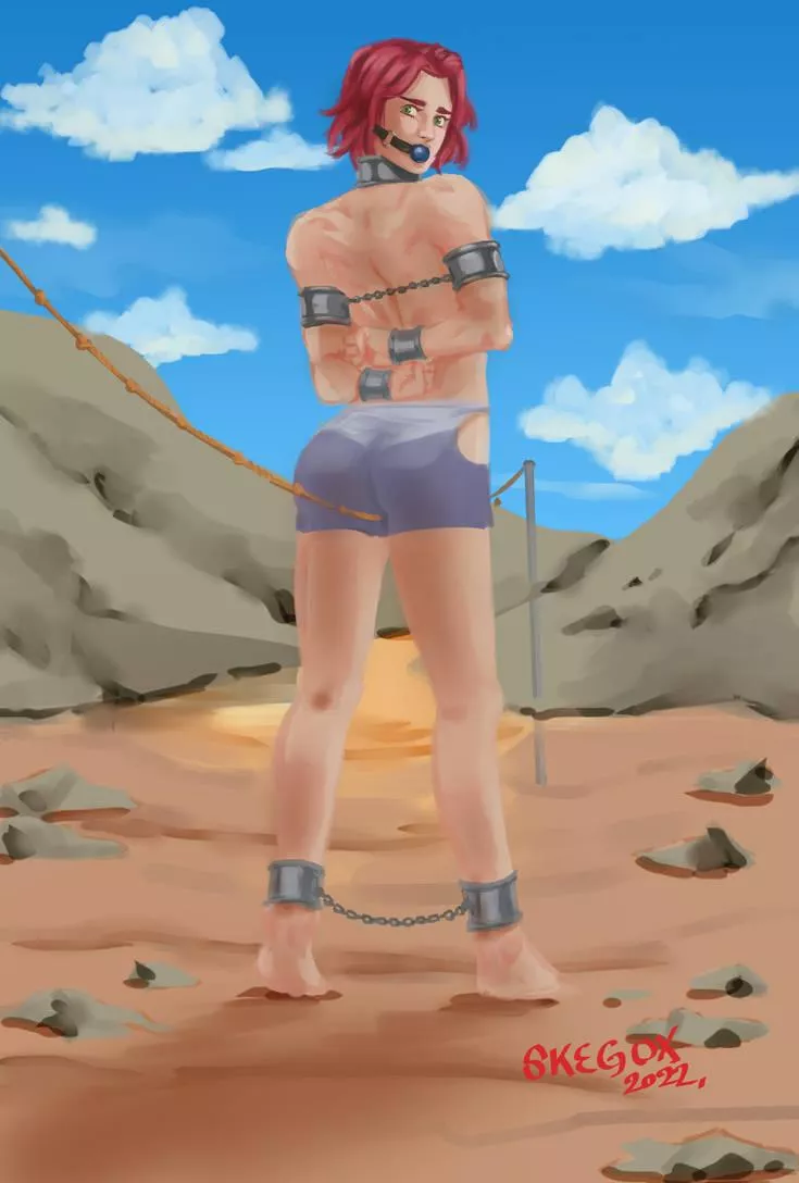 Slave male Starfire (Skegox) posted by SiarX