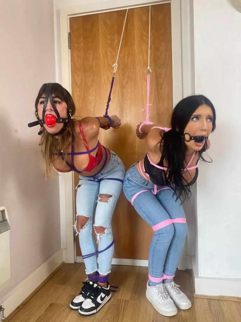 Which gag do you prefer to have fun, left or right? 🤔 posted by PossibleAct5650