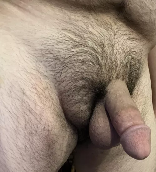 Honestly what do you think? by Mulford22