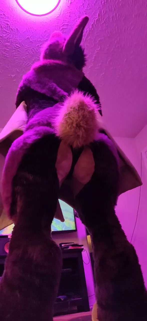 How's the view from down there? 🦇 posted by NepentheForYourWoes