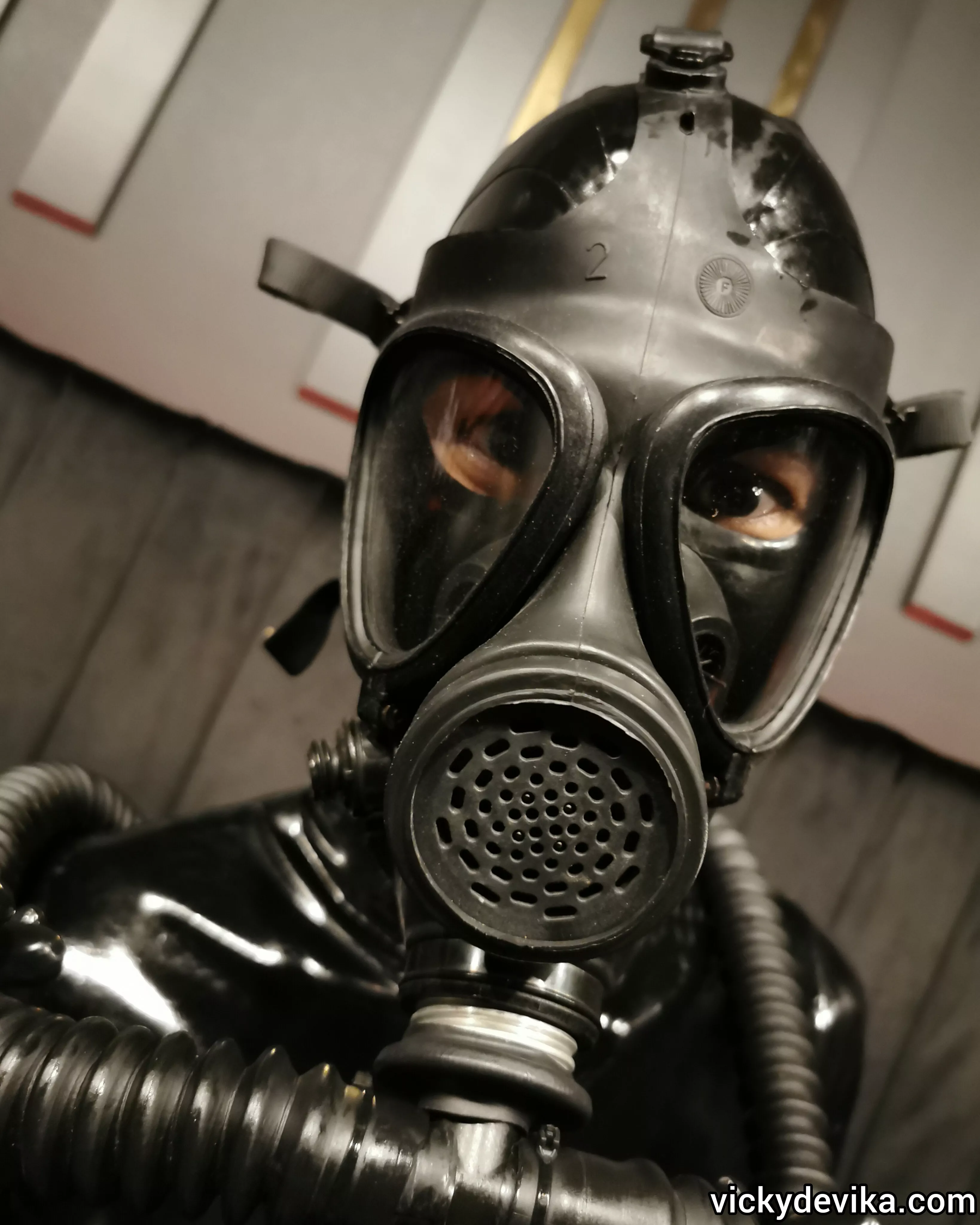 I may look mean, but I'm actually quite sweet (most of the time) 😆 posted by vickydevika