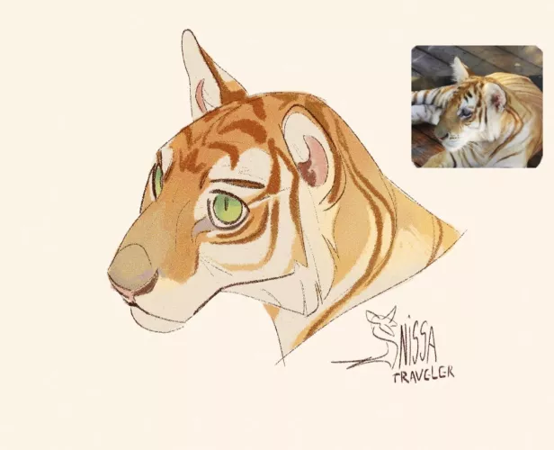 Just a small sketch by Nissa-Traveler