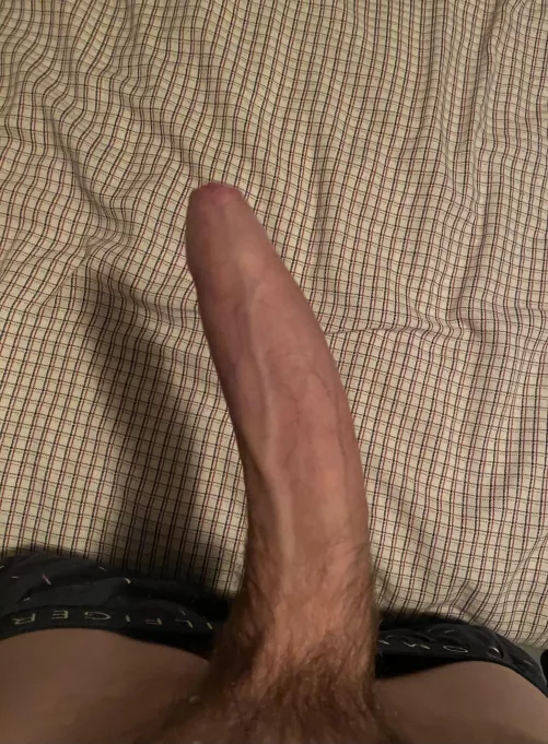 like what you see? by bigbatsal