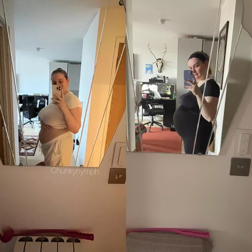 The progression of my pregnancy by chunkynymph