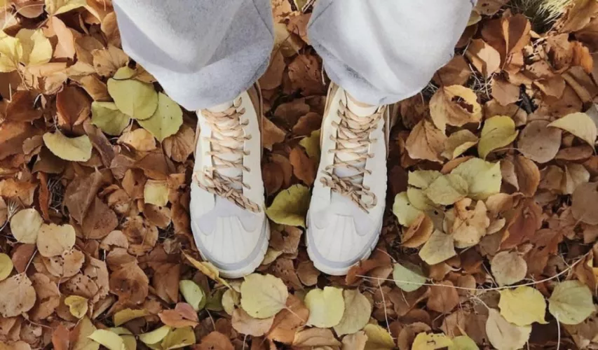 What are these??? by No_Championship_659