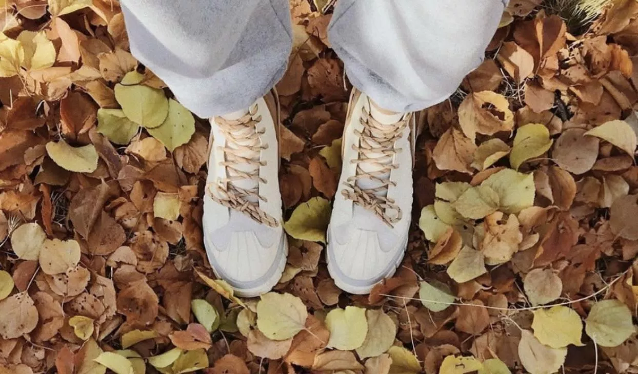 What are these??? posted by No_Championship_659