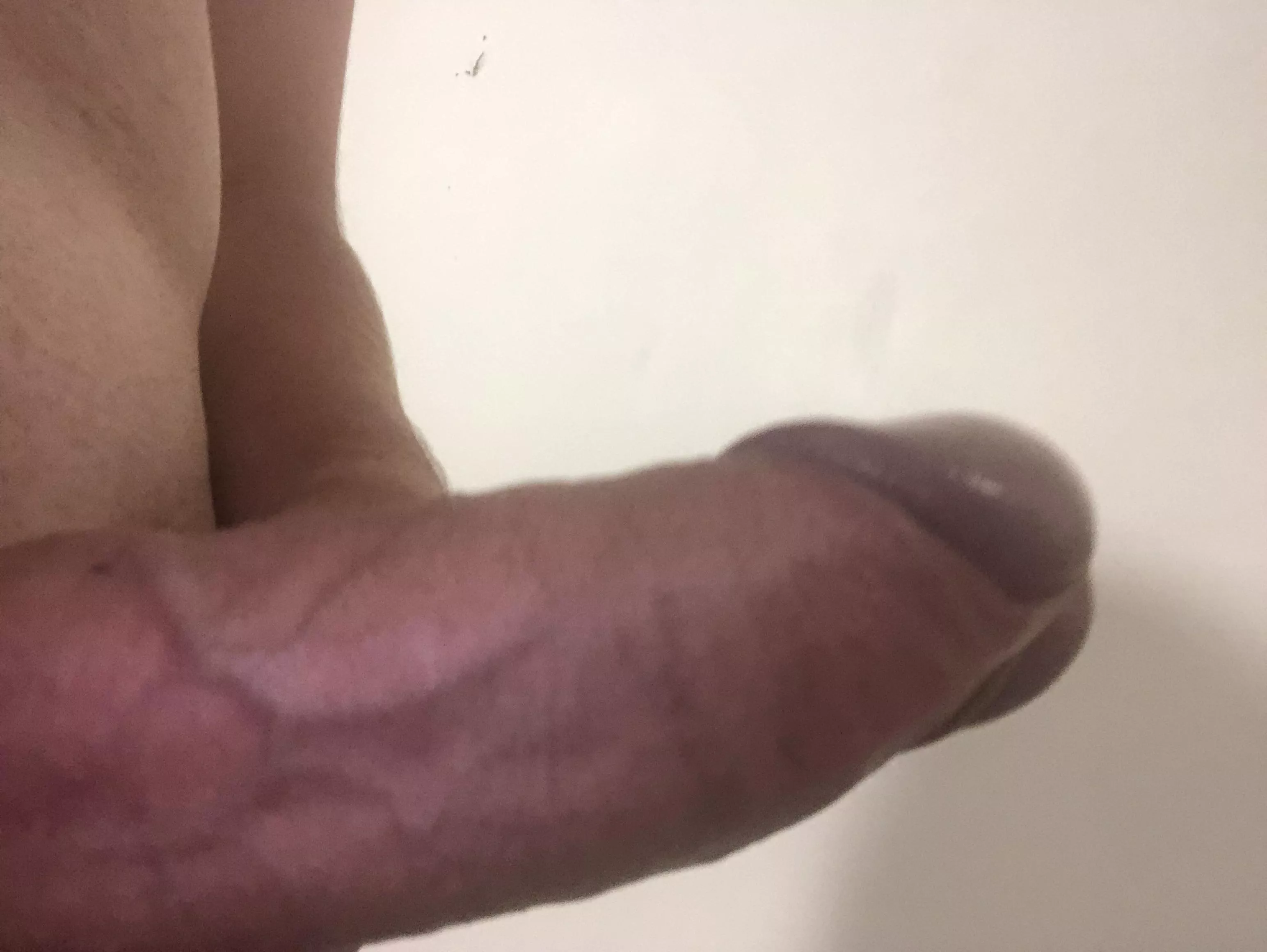 18 central coast posted by Impressive_Act6615