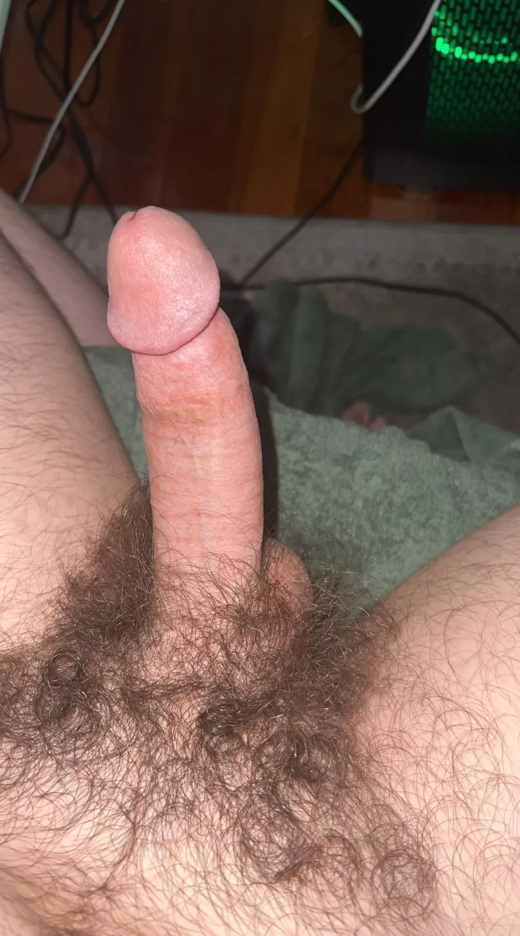 Anyone here like bushes? posted by bobikey832